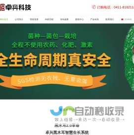 广西建筑模板厂家批发-黑模板直供_广西大口井木业有限公司
