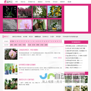 爱养花iYangHua_花卉网_养花知识_花卉图片大全_花卉图片及名称大全